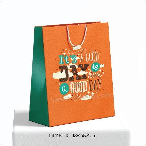 Túi giấy đựng quà T11B - 18x24x8cm