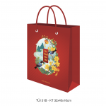 Túi đựng quà Tết, túi đựng quà chúc mừng năm mới T31B - Túi Greenwood 32x40x16cm